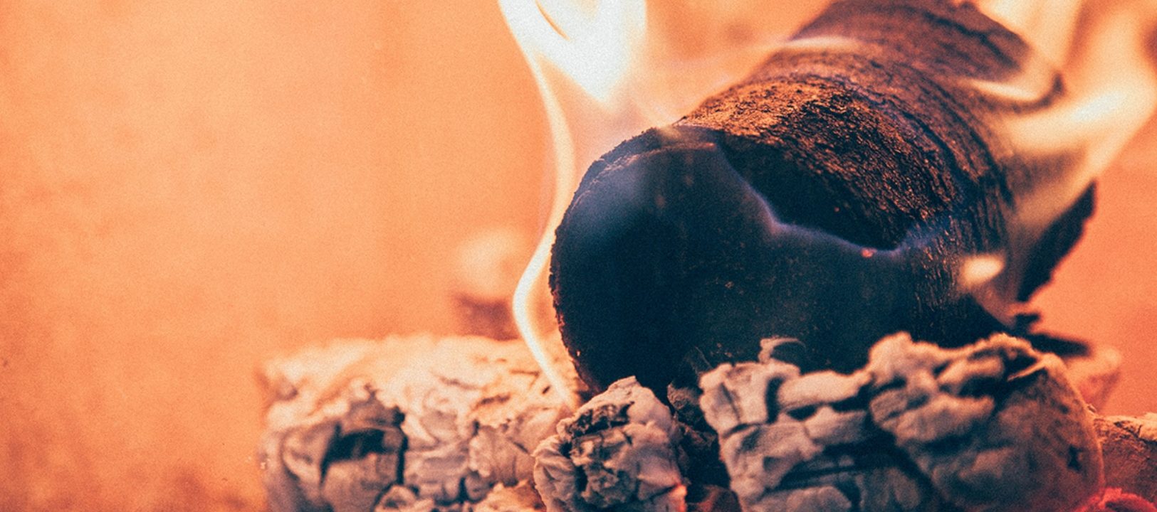 5 иновативни начина, по които вашата утайка от кафе може да бъде рециклирана